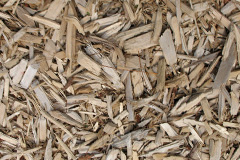 biomass boilers Mains Of Melgund